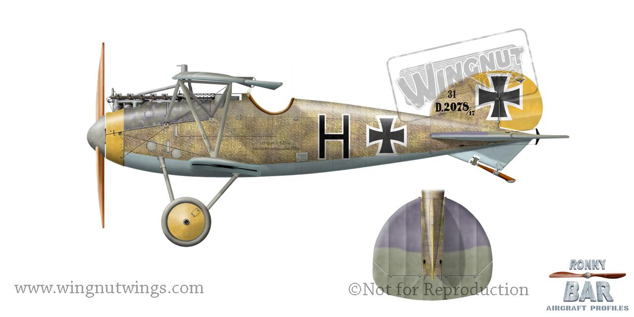Wingnut Wings - 1/32 Albatros D.V